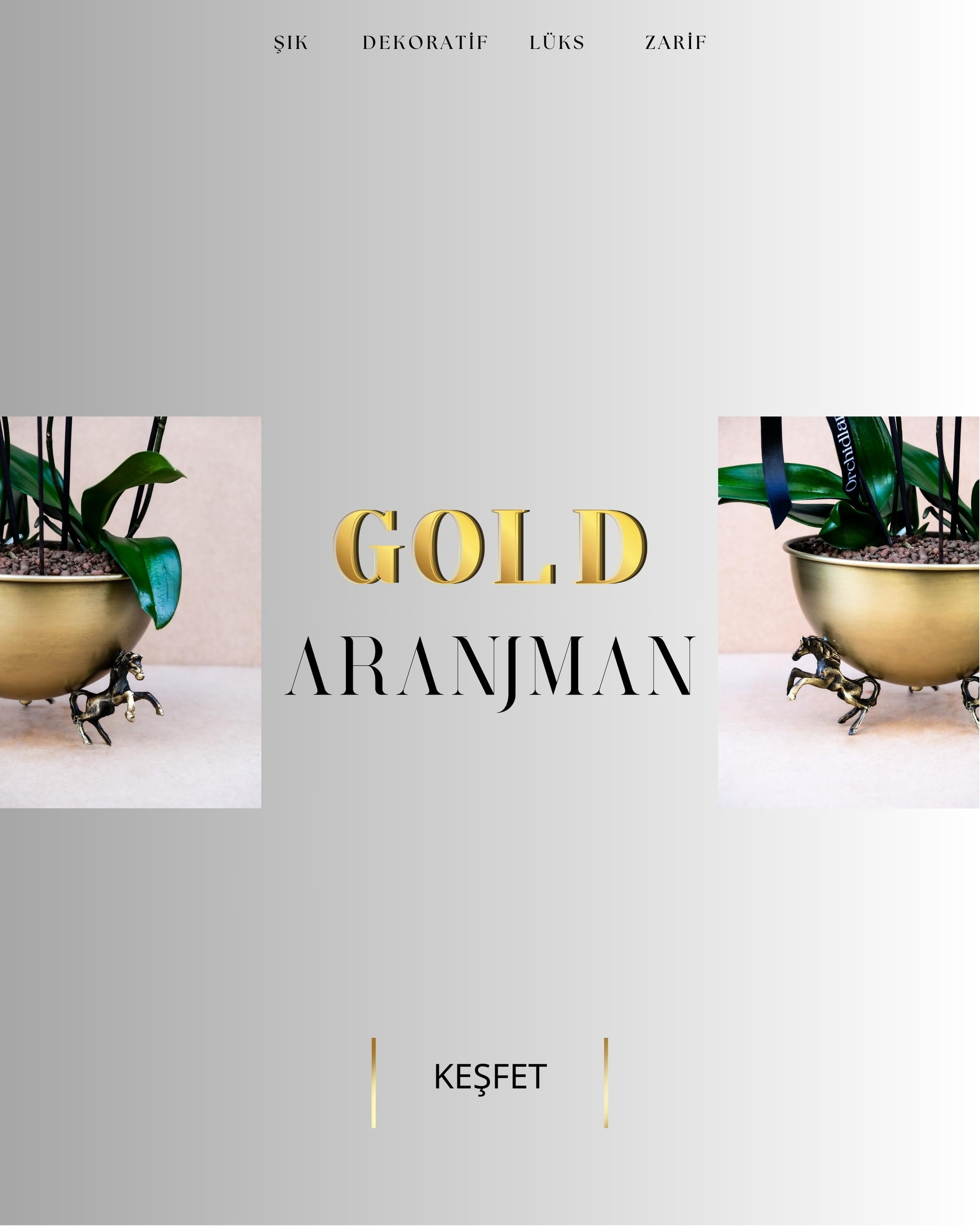 Gold Aranjman